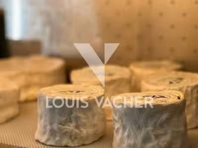 Fromagerie épicerie à céder à Bordeaux