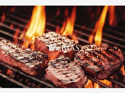 Murs et FDC brasserie grill à vendre en Somme