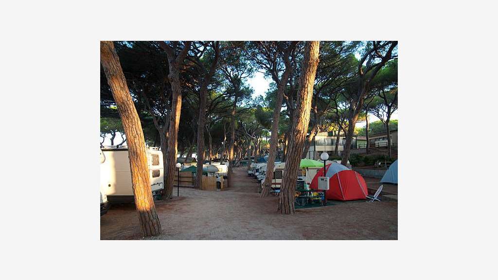CAMPING FAMILIAL AU BORD DE LA RIVIERE