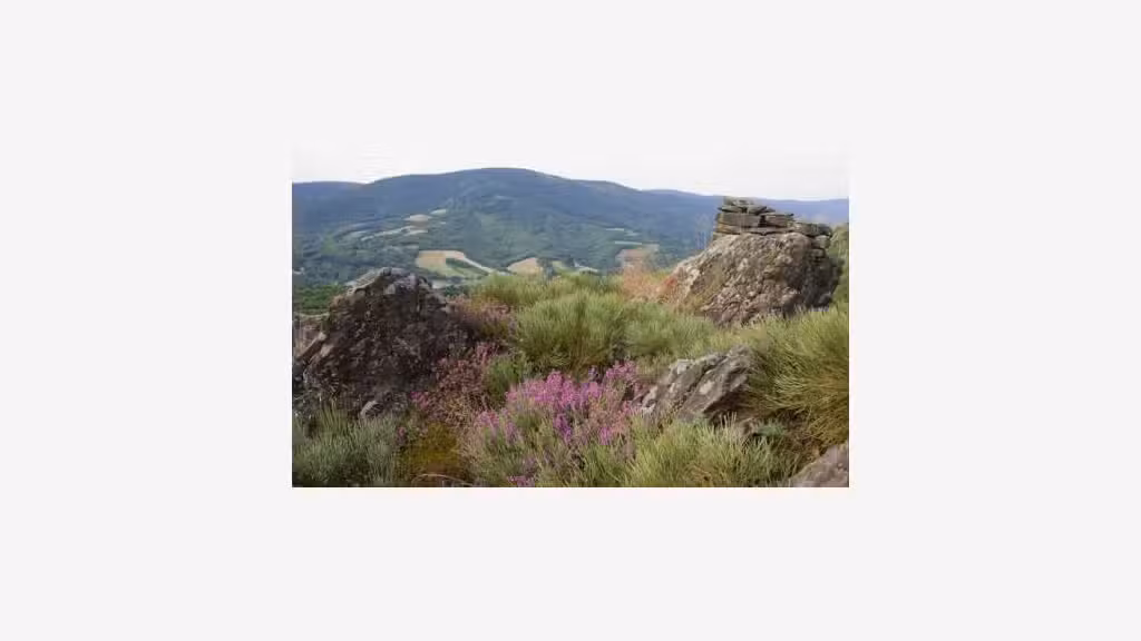Vente camping 18ha vue panoramique en Occitanie