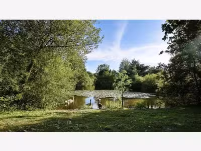 Exclusivité FDC camping *** au vert dans la Vienne