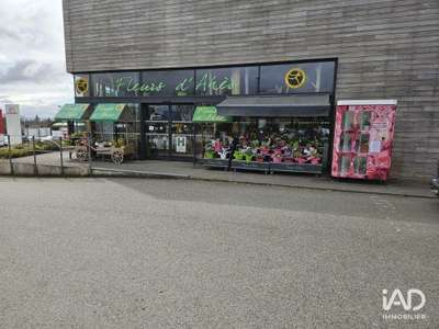 Vente Cadeaux - Fleurs à Carhaix-Plouguer