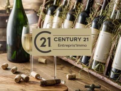 Vente fonds de commerce cave à vin Sud Bassin