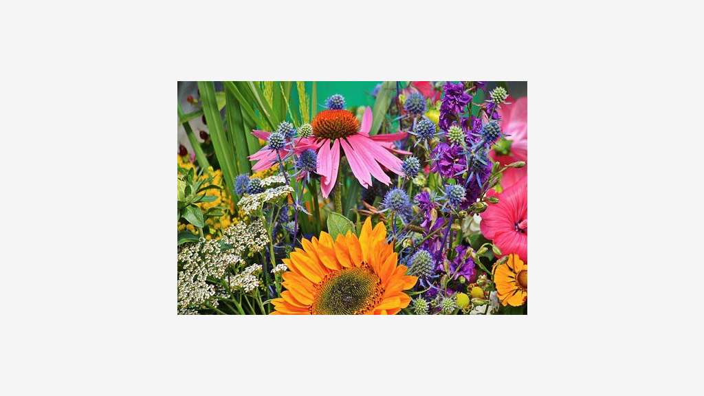 Vente fonds de commerce de fleurs dans la Manche