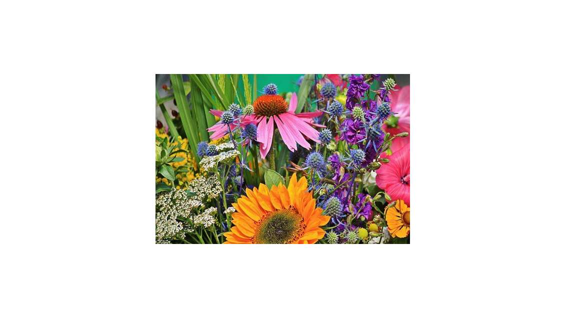 Vente fonds de commerce de fleurs dans la Manche