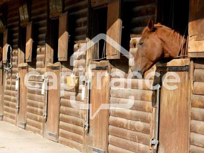Vente Loisirs - Tourisme au Grau-du-Roi