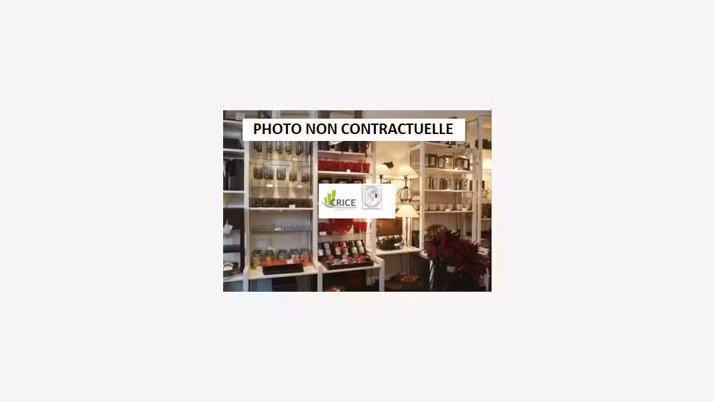 Vente fonds de commerce decoration luminaires