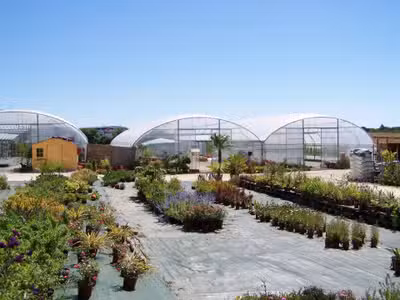 Cède entreprise jardinerie-horticole-paysagiste 86