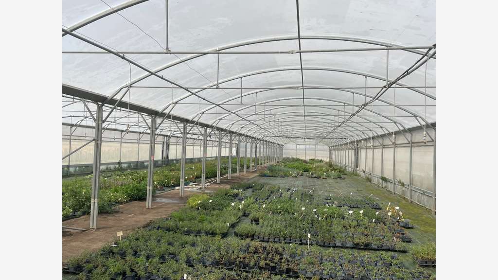 Exploitation horticole à céder à Sandillon