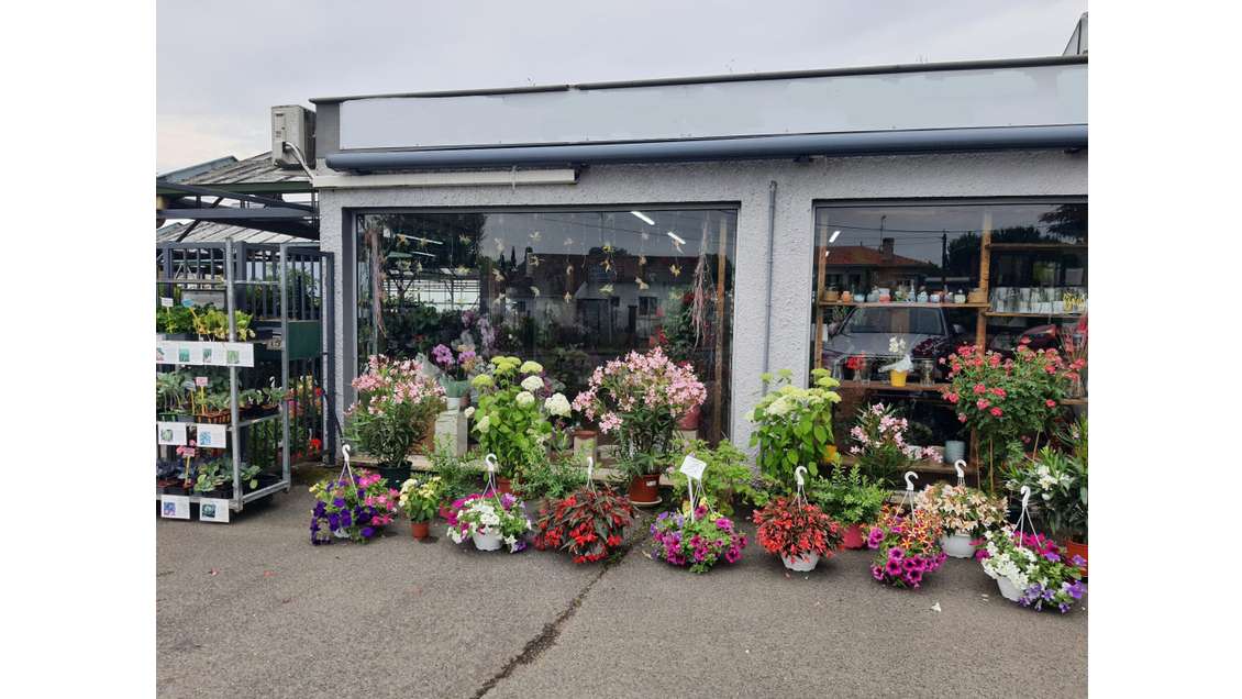 AV exploitation horticole - Jardinerie - Fleuriste