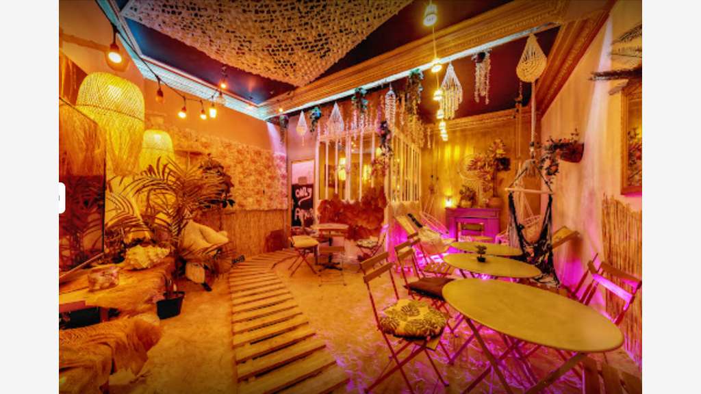 BAR, Petite Restauration,Licence IV,Notre dame 5e