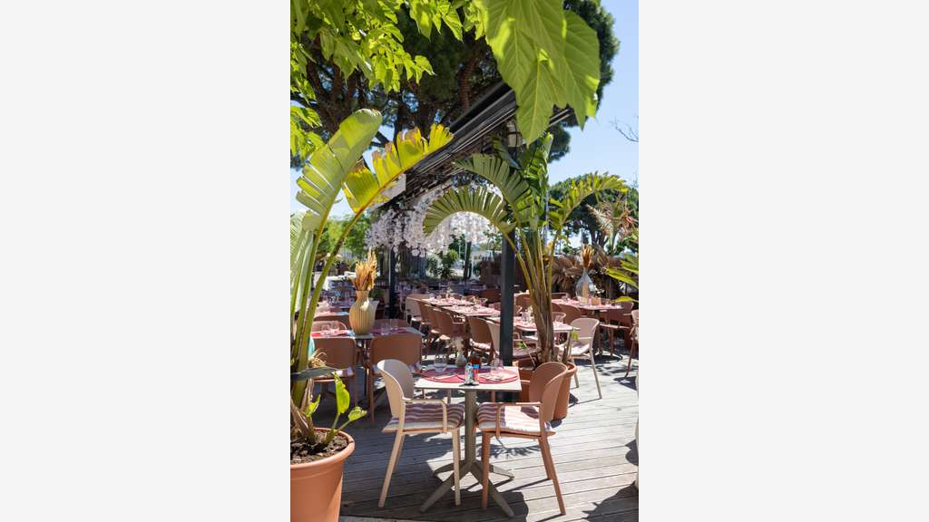Brasserie à reprendre sur le port de Bandol