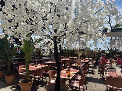 Brasserie à reprendre sur le port de Bandol
