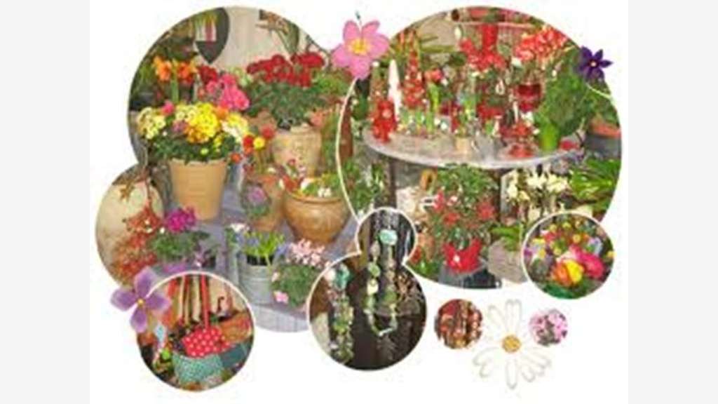 Vend FDC de fleurs compositions florales Manche
