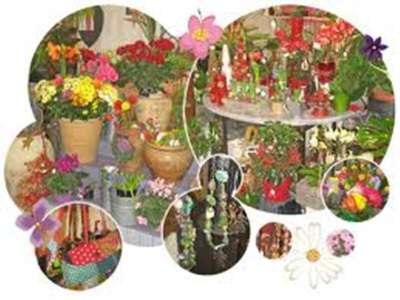Vend FDC de fleurs compositions florales Manche