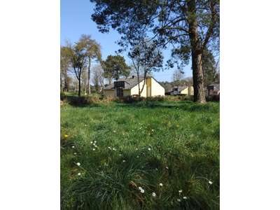 Vente Chambres d'hôtes - Gîtes à Treffendel