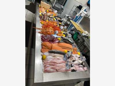 Poissonnerie clé en main St Jean de luz