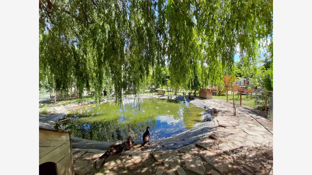 Vente parc animalier en Sud Ardèche