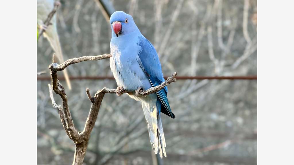 Vente parc animalier en Sud Ardèche