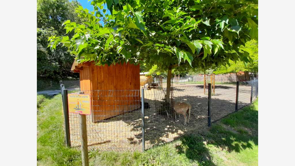 Vente parc animalier en Sud Ardèche