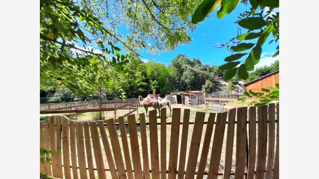 Vente parc animalier en Sud Ardèche