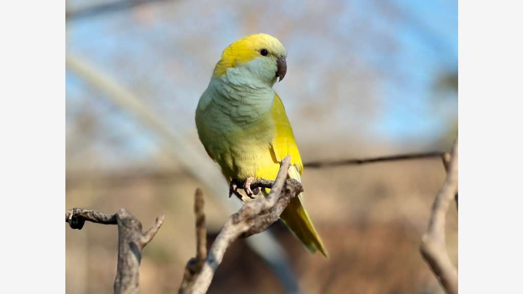 Vente parc animalier en Sud Ardèche