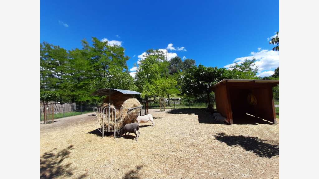 Vente parc animalier en Sud Ardèche