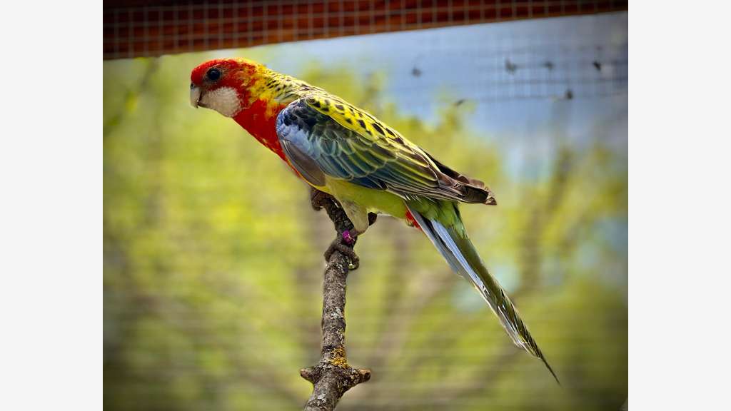 Vente parc animalier en Sud Ardèche