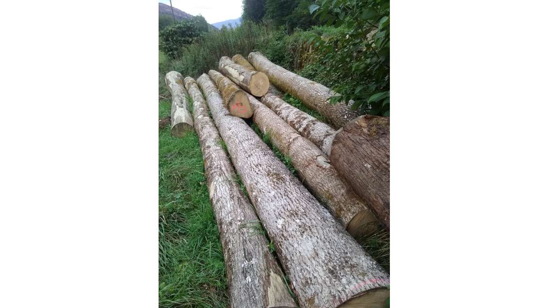 Cession fabrication de manches d'outils en Savoie