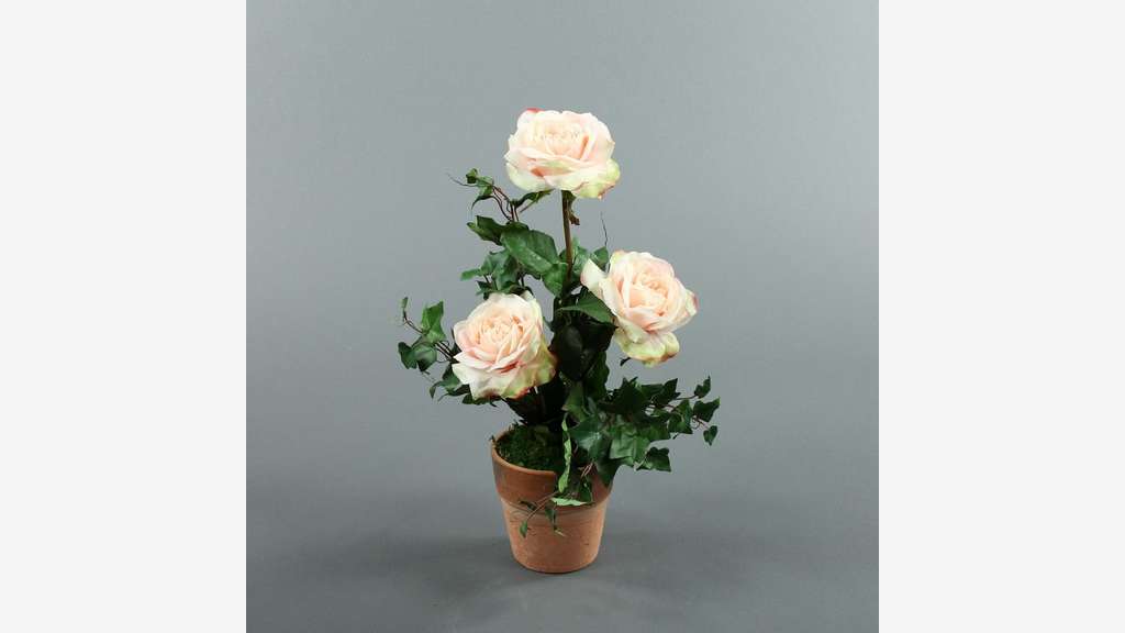 Cession d’une marque de décoration florale artific