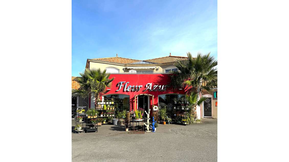 A vendre fleuriste reconnu + cadeaux et déco - 44