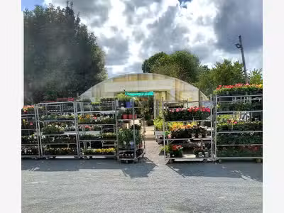 Fond de commerce fleuriste et plantes