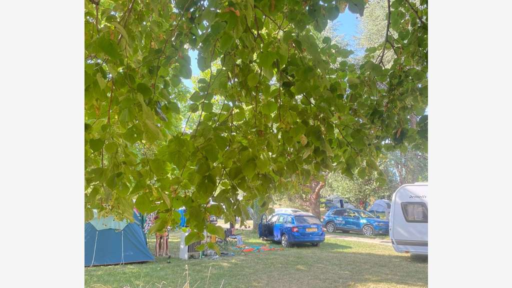 Camping 4* Premium Clé en Main (murs et fonds)