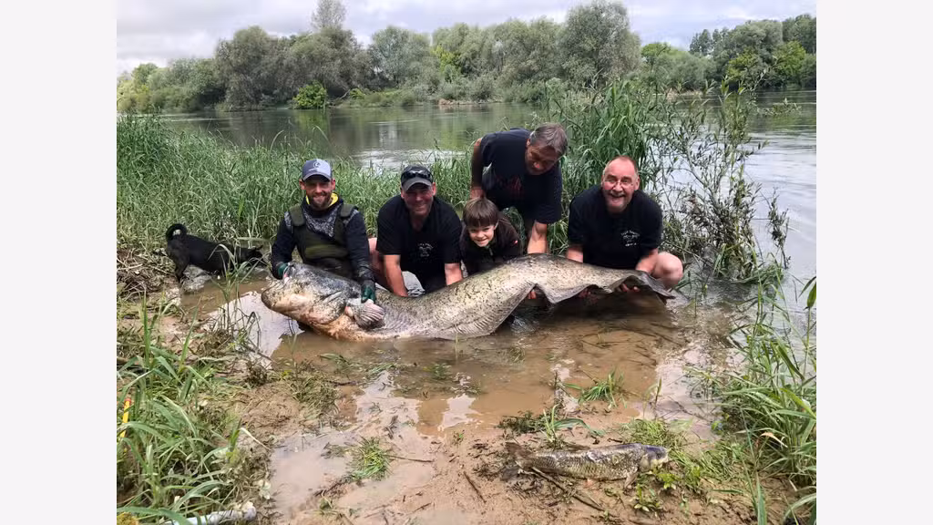 Camping*** JOYAU au bords d'une rivière