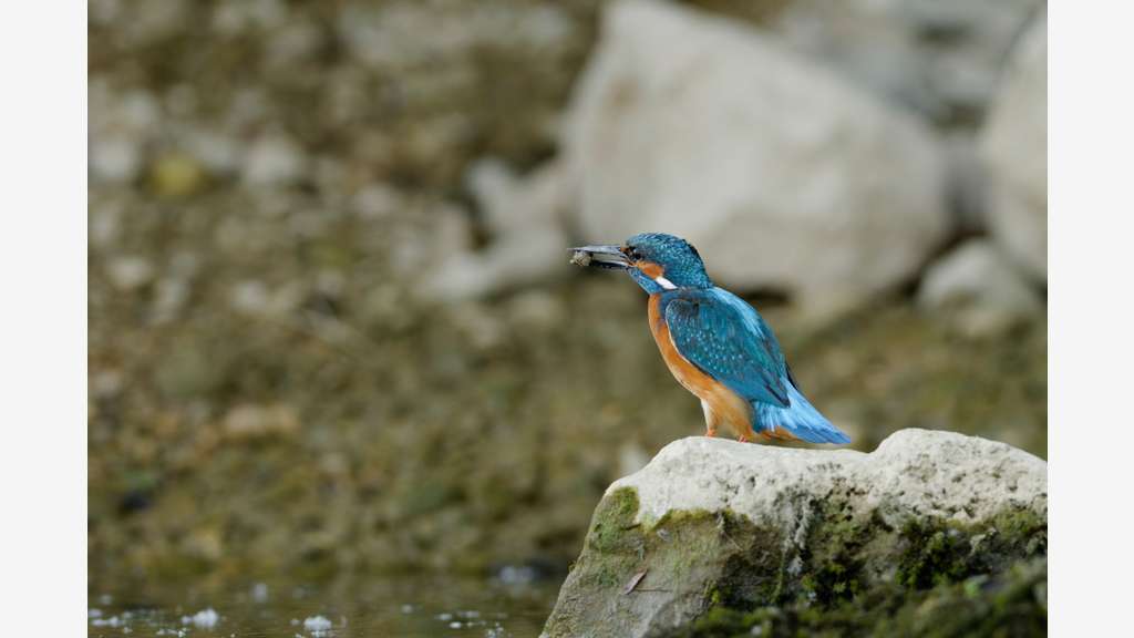 Camping*** JOYAU au bords d'une rivière