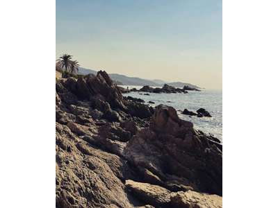 Vente Hôtel - Hôtel restaurant au Lavandou