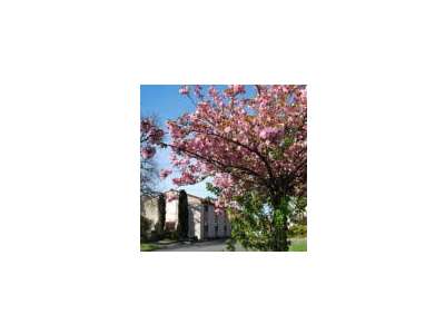 Vente Hôtel - Hôtel restaurant à Graulhet