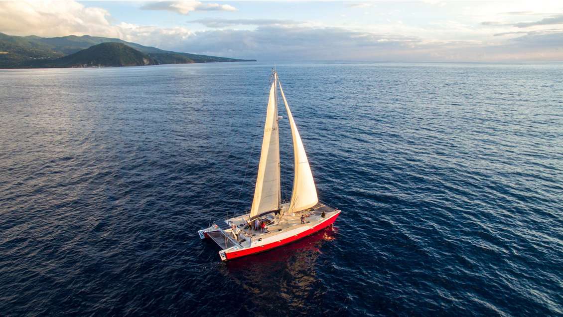Excursion en mer sur un catamaran en Guadeloupe
