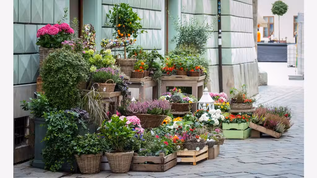 Vente fonds de commerce Fleuriste Sud Ardèche