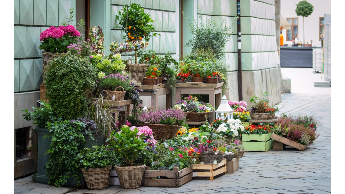 Vente fonds de commerce Fleuriste Sud Ardèche