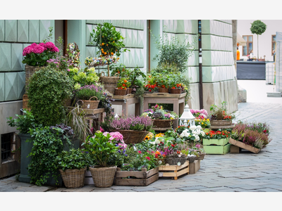 Vente fonds de commerce Fleuriste Sud Ardèche