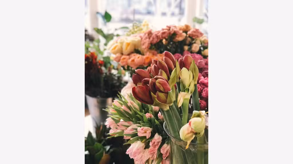 Vente fonds de commerce Fleuriste Sud Ardèche