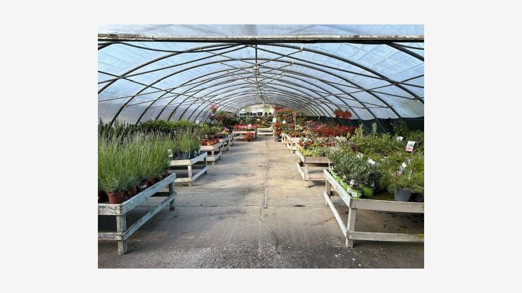 Jardinerie historique et indépendante à potentiel
