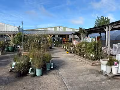 Jardinerie historique et indépendante à potentiel