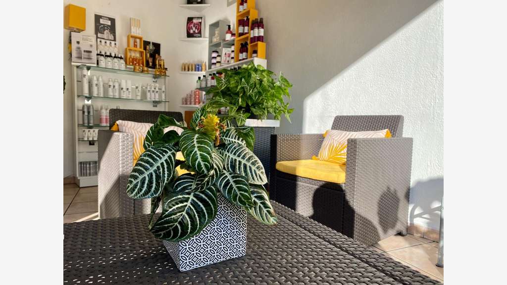 Vente salon de coiffure à Bordeaux Saint-Genès