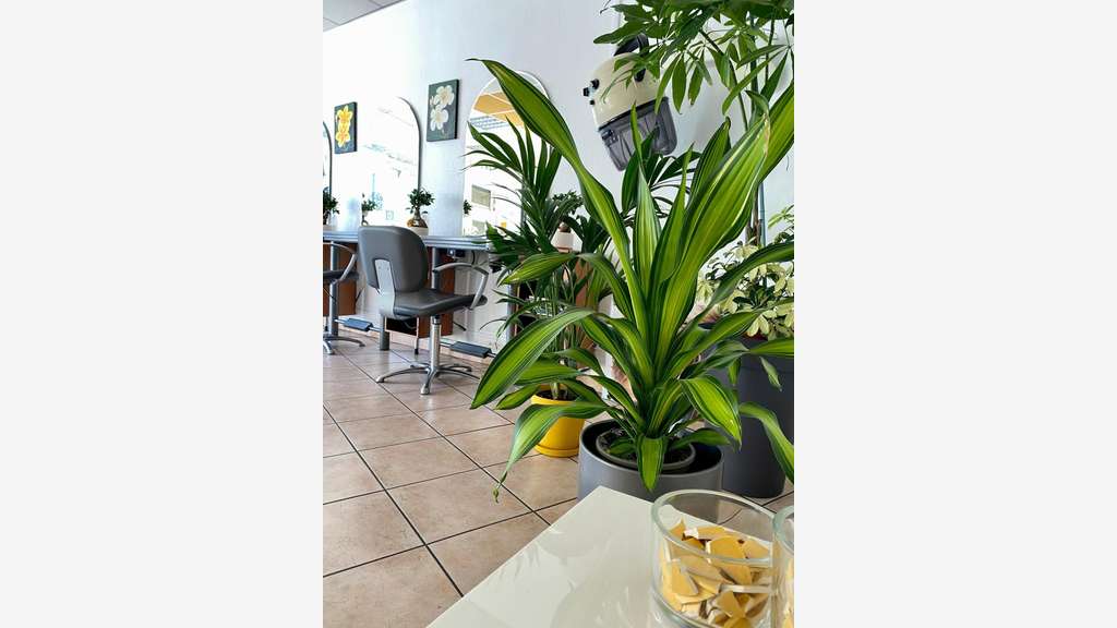 Vente salon de coiffure à Bordeaux Saint-Genès