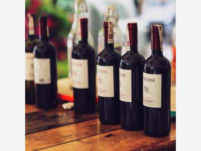 AV cave à vin multi-sites 974 – Acteur historique