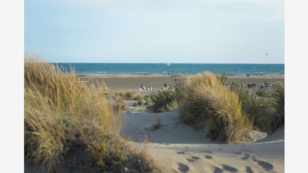 Vente FDC promenade à cheval Stes Maries de la Mer