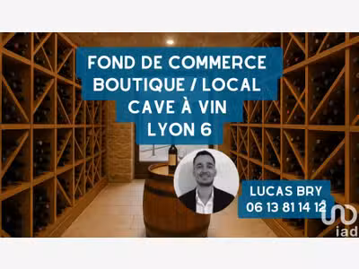 Vente cave à vin  fort potentiel à Lyon 69006 Sud