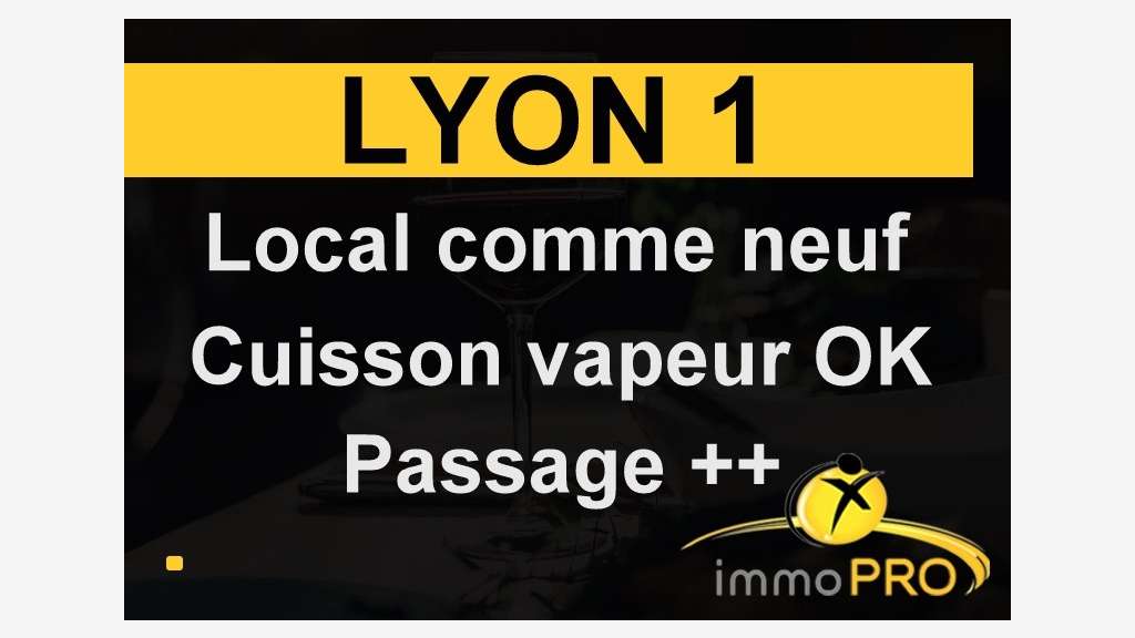 A vendre petit établissement de charme à Lyon